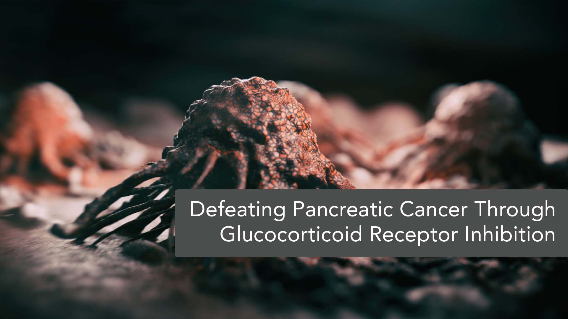 Inhibition of Glucocorticoid Receptor for Enhanced Anti-Tumor Immunity Against Pancreatic Cancer