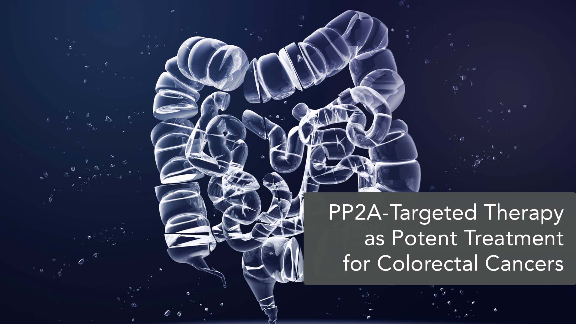 Stronger Anti-Tumour Immunity in Colorectal Cancers via Inhibition of Protein Phosphatase 2A