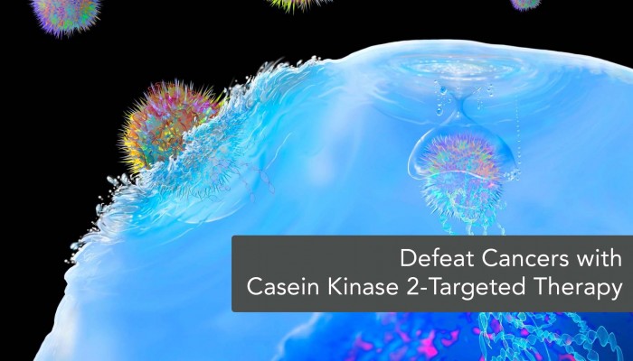 Developing High Efficacy Immunotherapy via Casein Kinase 2 Inhibition