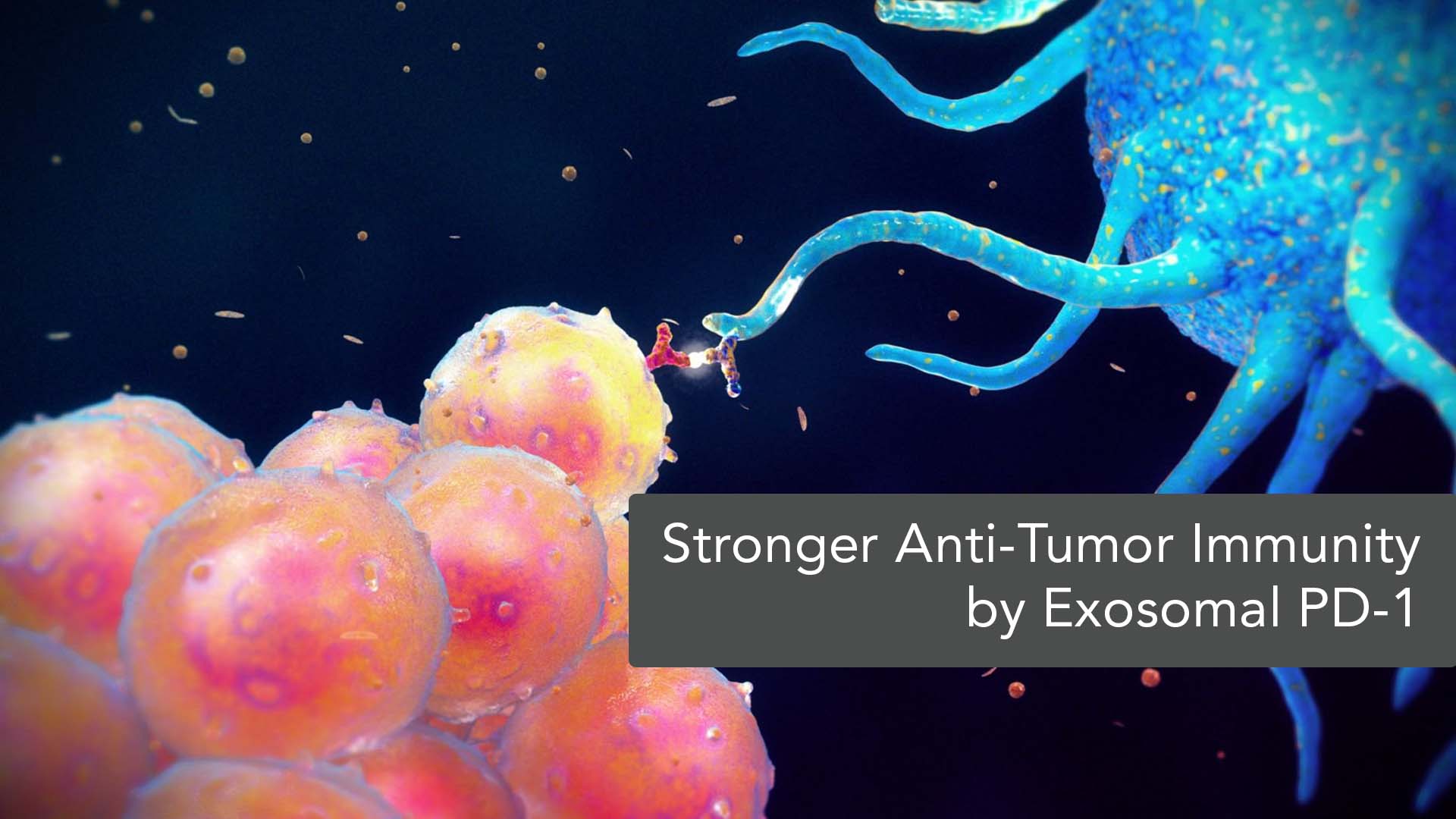 Role of Exosomal PD-1 in Anti-Tumor Activity and Attenuation of Immune Suppression