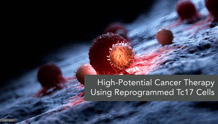 Reprogrammed Tc17 Cells: Signalling Pathway & Cancer Treatment